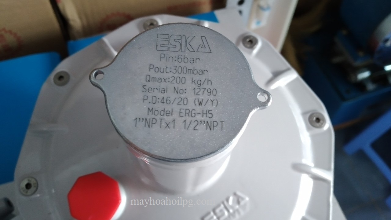 van dieu ap 200kg/h eska